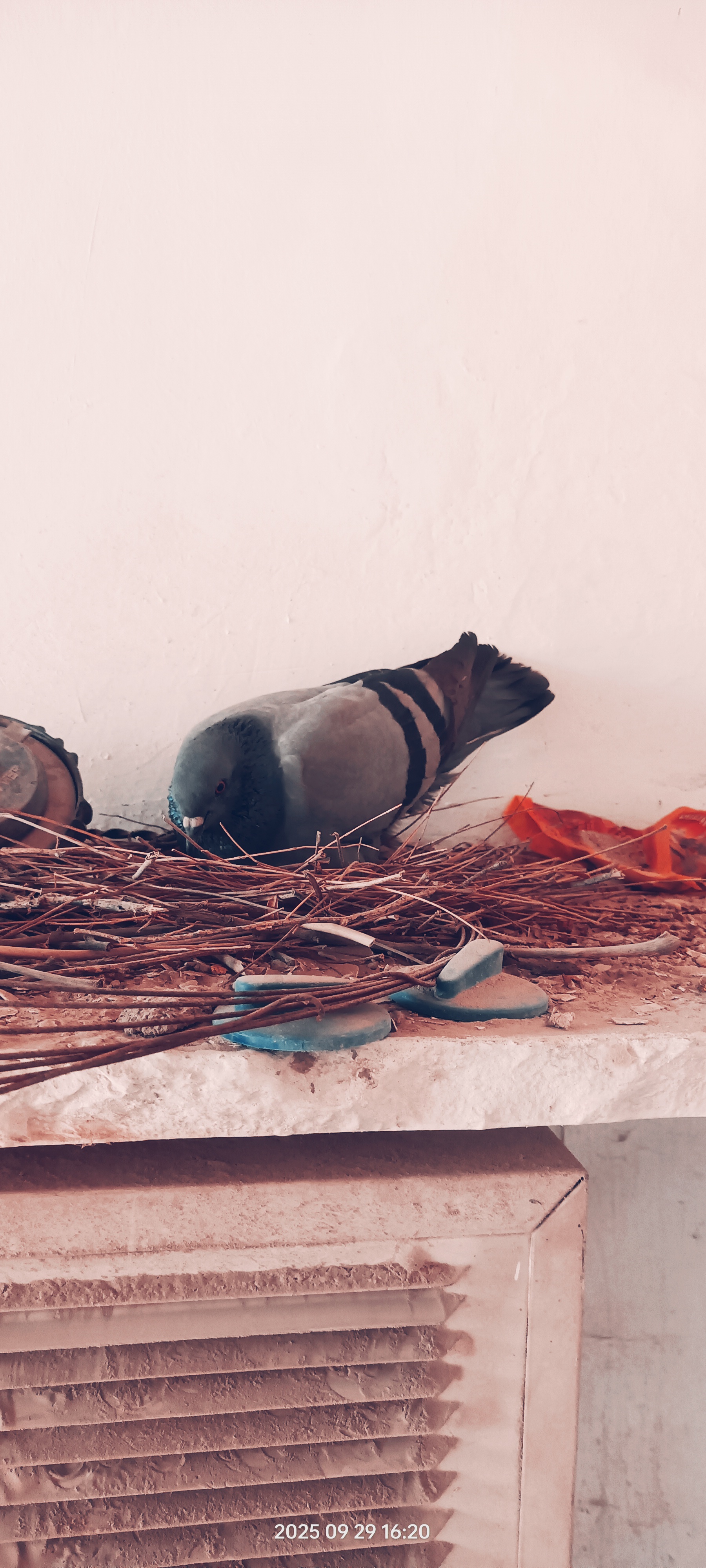 Baba ji Inder gaider